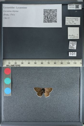 Media type: image;   Entomology 170720